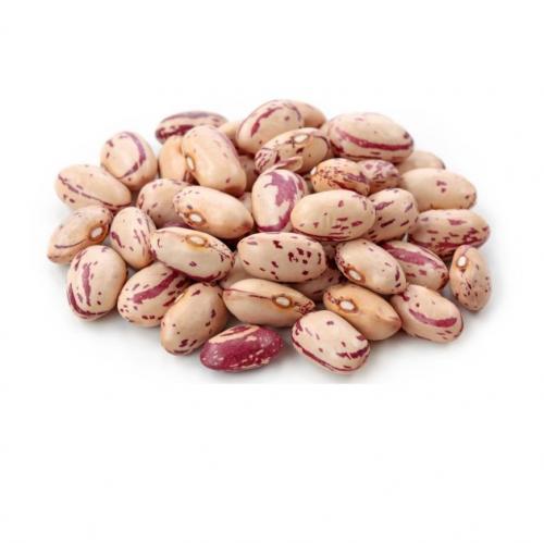 Sugar Beans