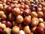 Bambara Nuts